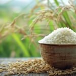 freshly harvested rice grains in wooden bowl outdoors in daylight