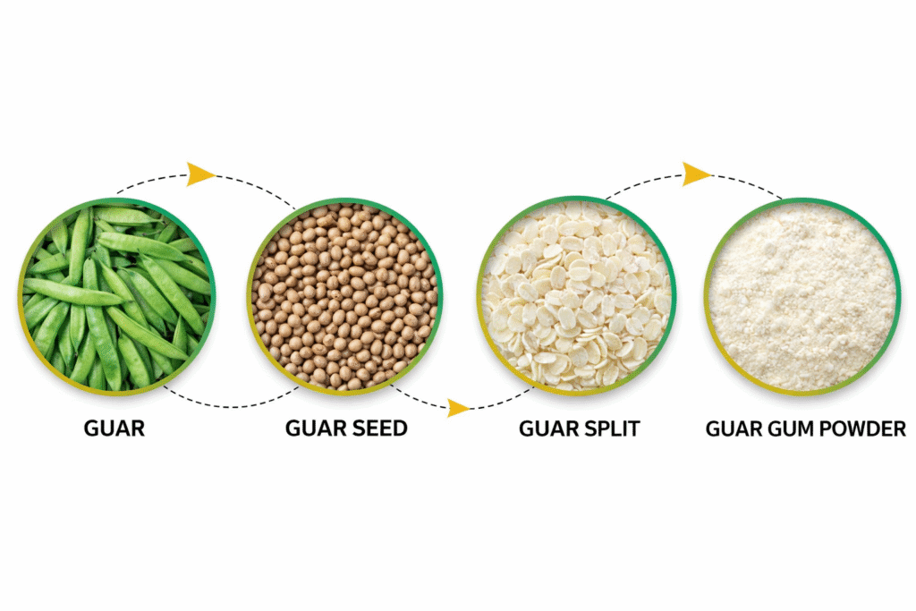Guar Gum RNG Agro Exports