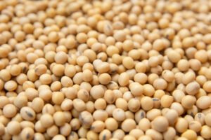 Soybeans (Non-GMO)