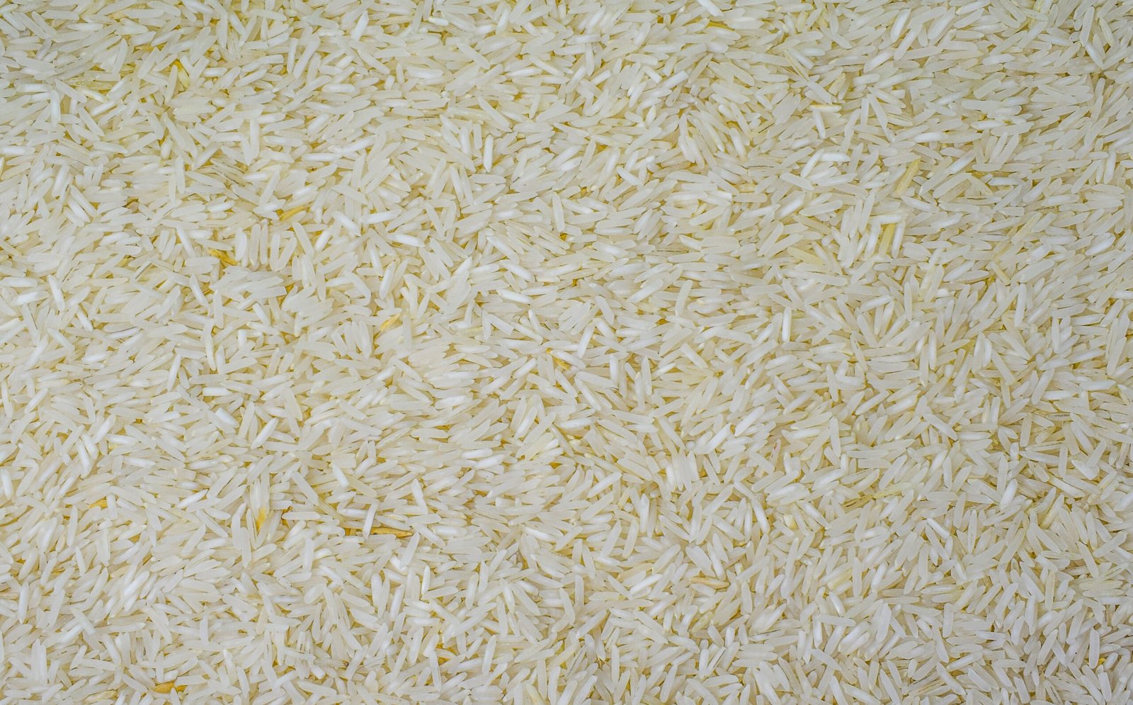 1401 Basmati Rice