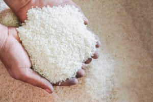 Sharbati Rice exported from India