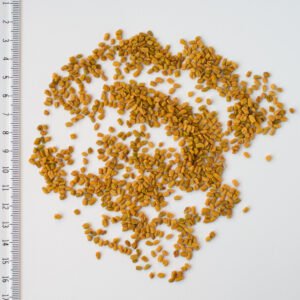 Fenugreek Seeds (Methi) exported from India