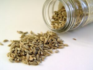 Fennel Seeds (Saunf) exported from India