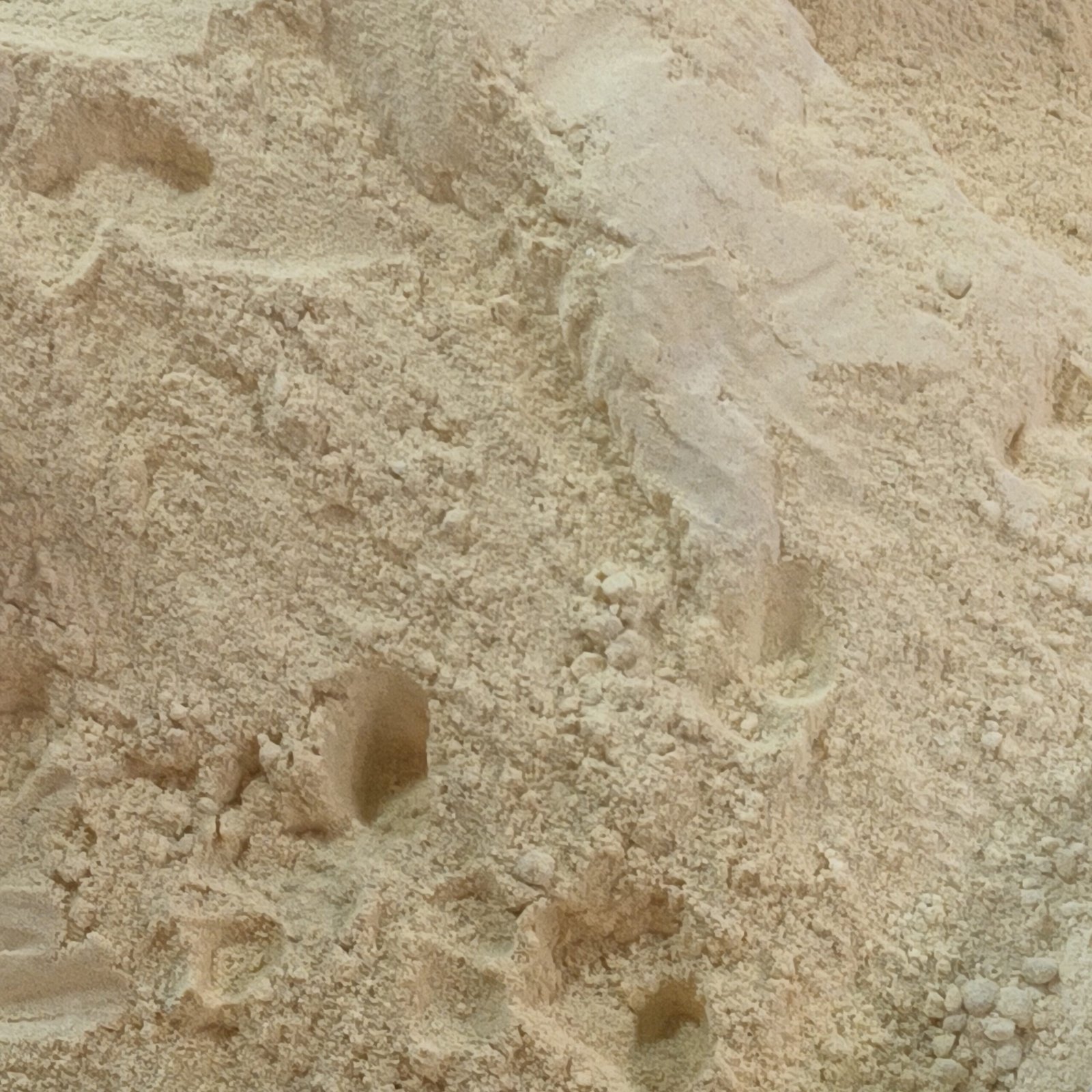 Dry Ginger Powder