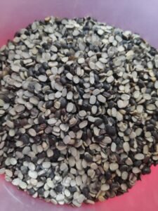 Urad Dal (Split & White Dhuli)