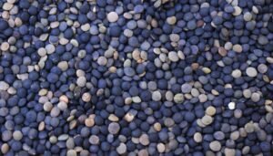 Masoor Dal (Whole Red Lentil)