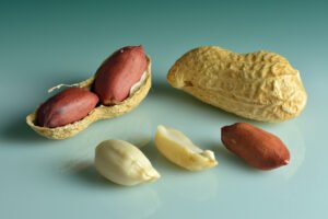 Groundnut Bold (40/50 Count)
