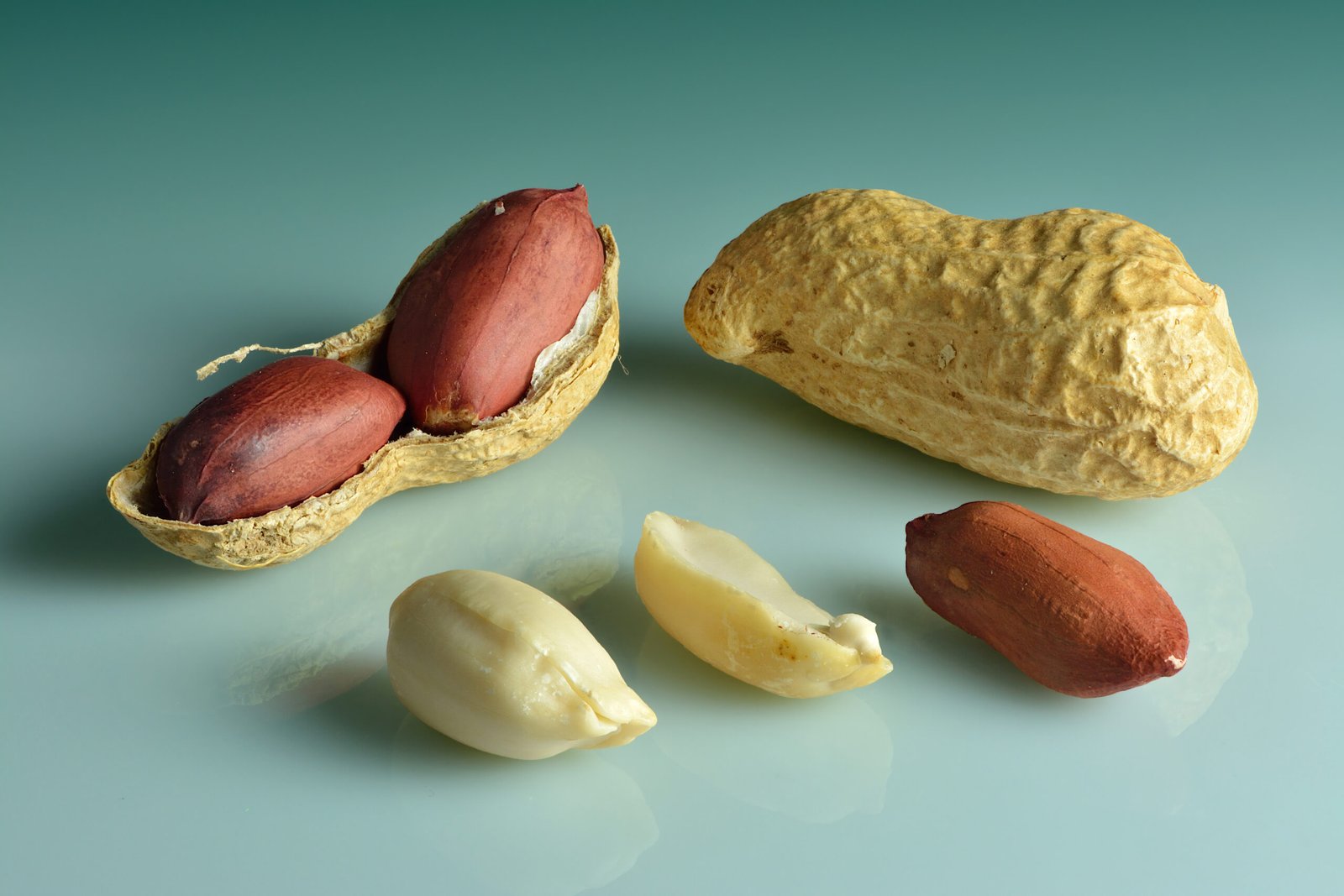 Groundnut Bold (40/50 Count)