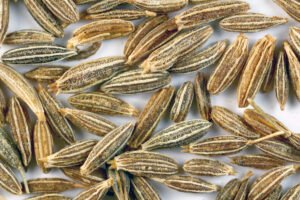 Cumin Seeds (Jeera)