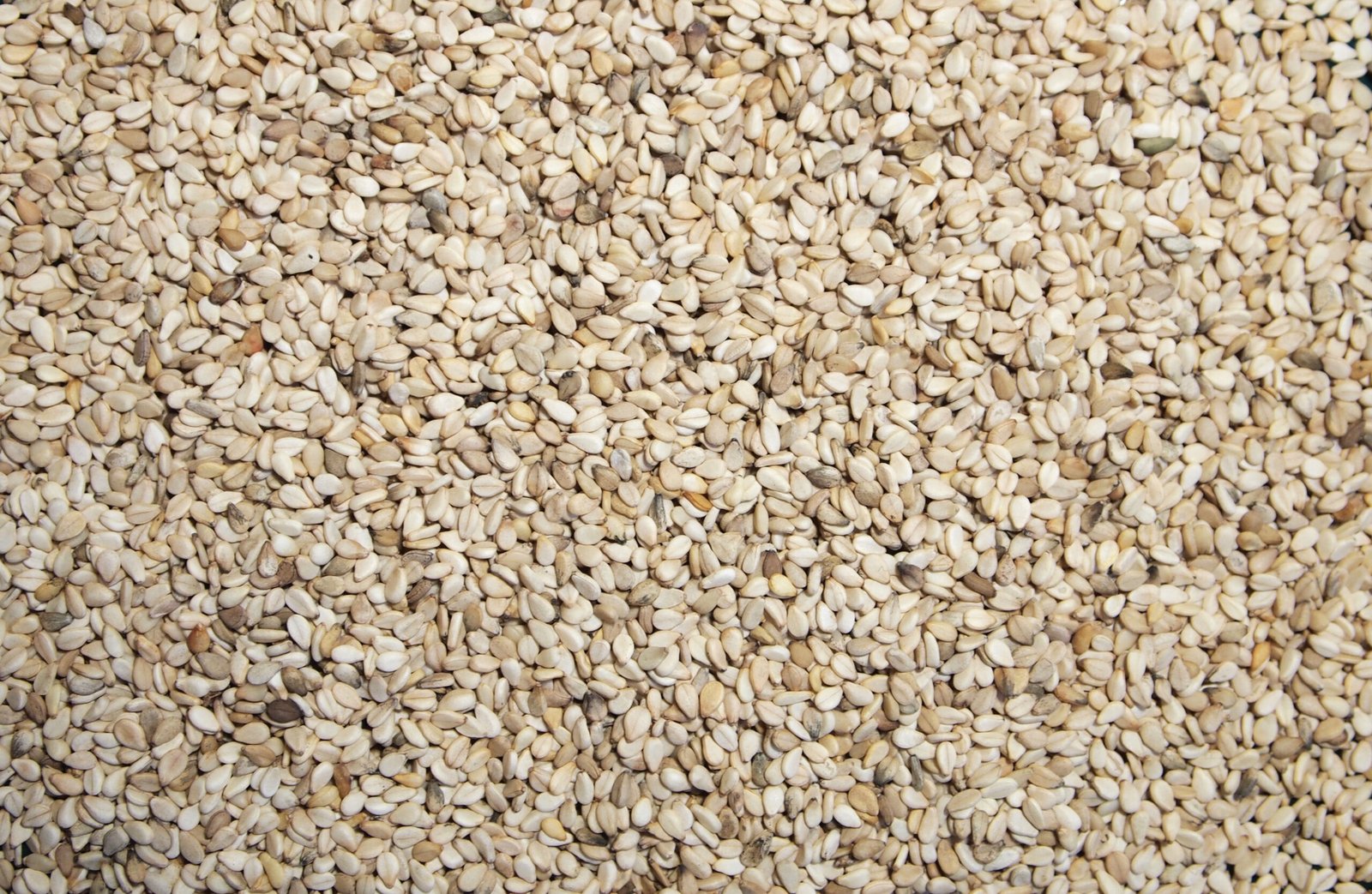 Hulled Sesame Seeds