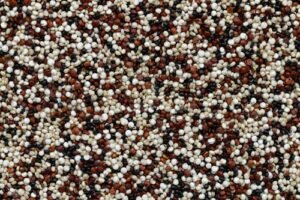 Amaranth Seeds (Rajgira) exported from India