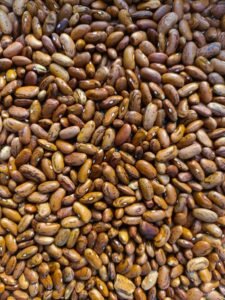Rajma (Kidney Beans)