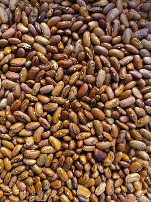 Rajma (Kidney Beans)