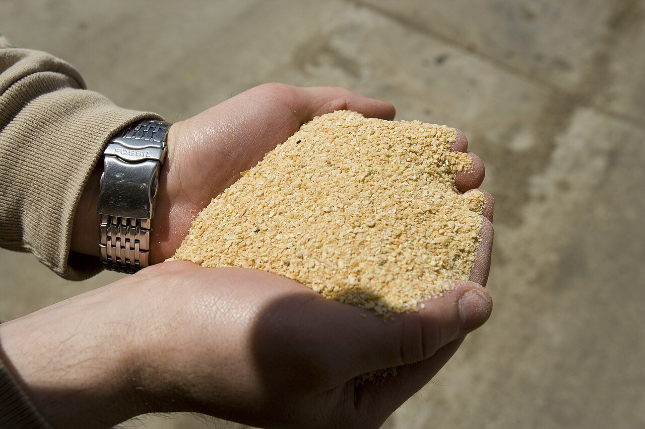 Soybean Meal (Non-GMO)
